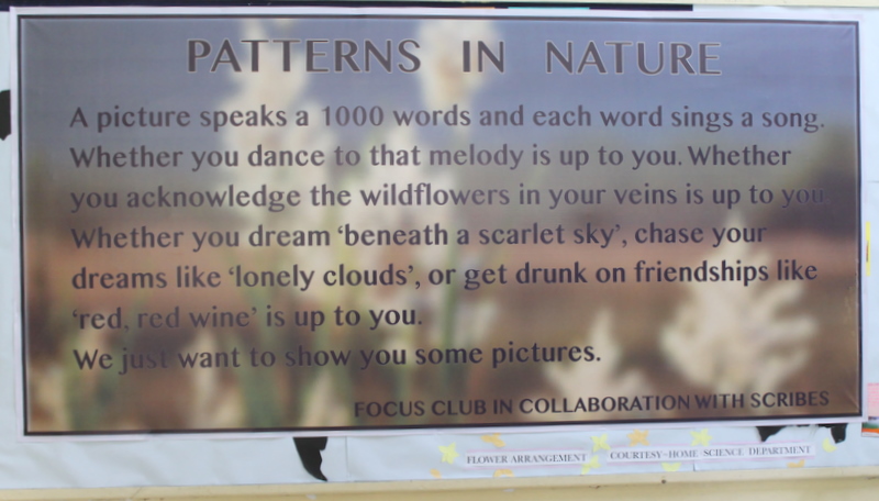 FOCUS EXHIBITION ' PATTERNS IN NATURE' IN COLLABORATION WITH SCRIBES