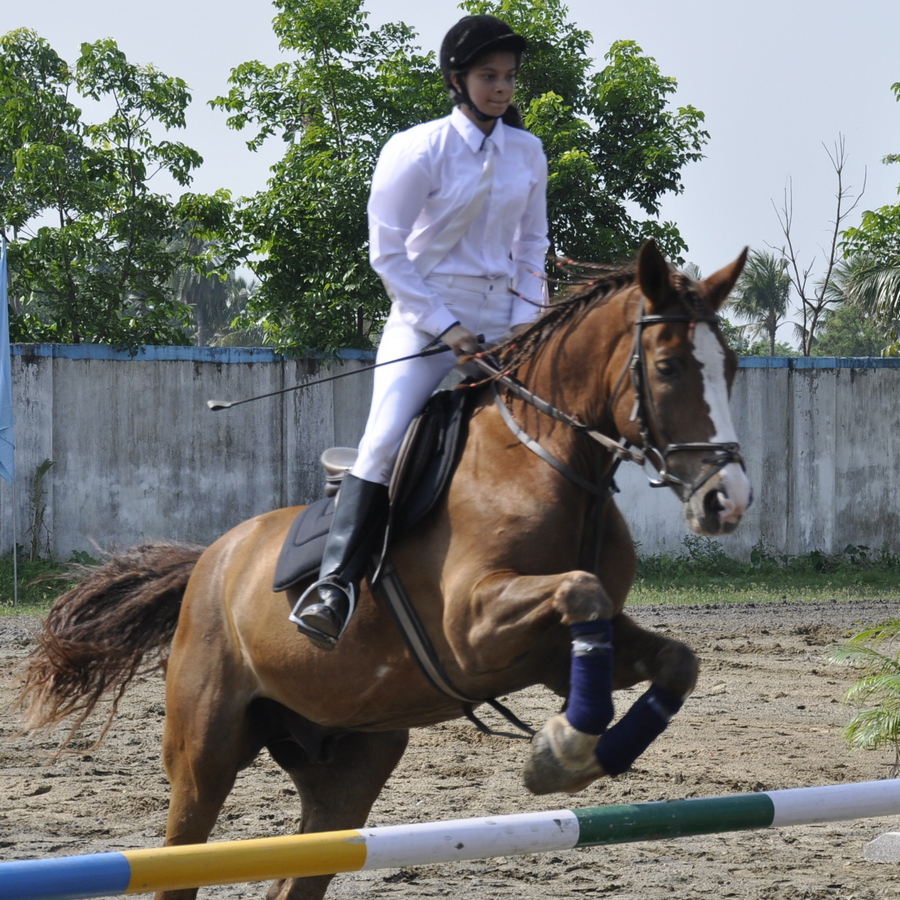 State Equestrian Championships- 2019