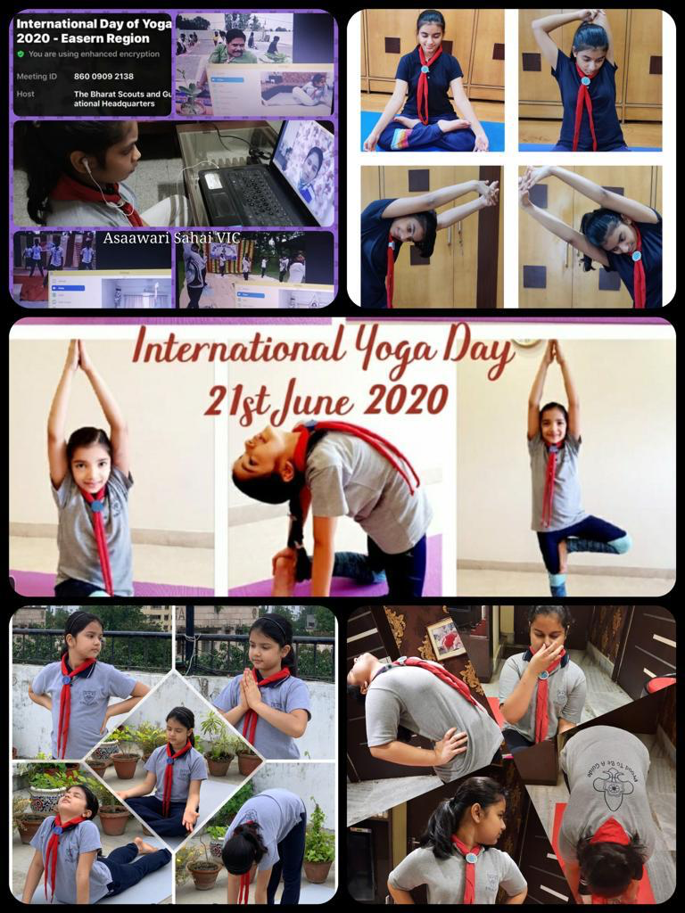 International Yoga Day - 21st June 2020